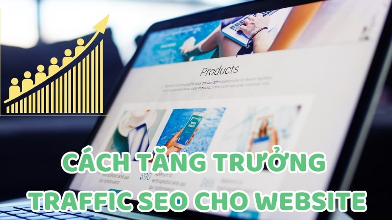 Tham khảo cách tăng trưởng Traffic SEO cho website hiệu quả